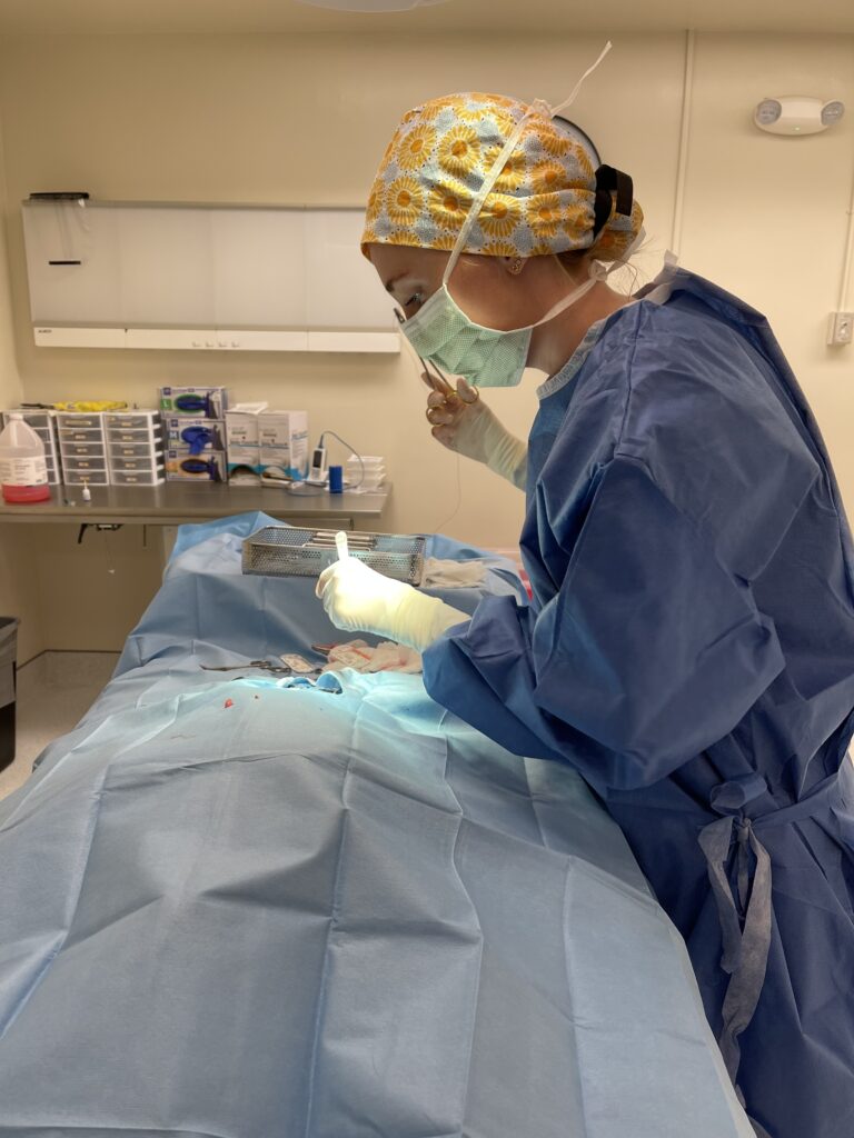 Surgery