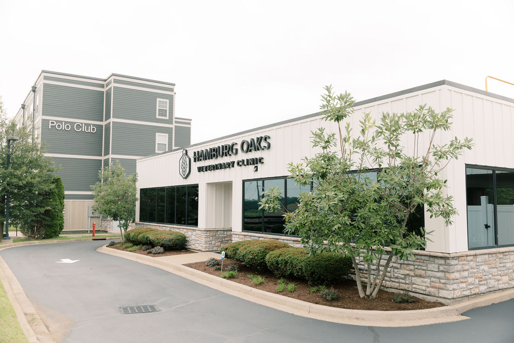 Hamburg Oaks clinic